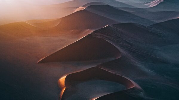 Namibia, Full of Life by Tobias Hägg