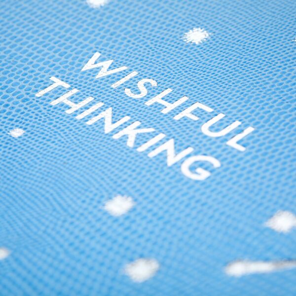 a5-notebook-cosmic-collection-wishful-thinking-02-amara