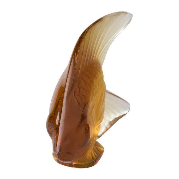 amber-fish-figure-04-amara