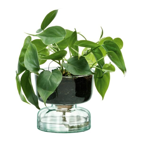 canopy-self-watering-planter-13cm-02-amara