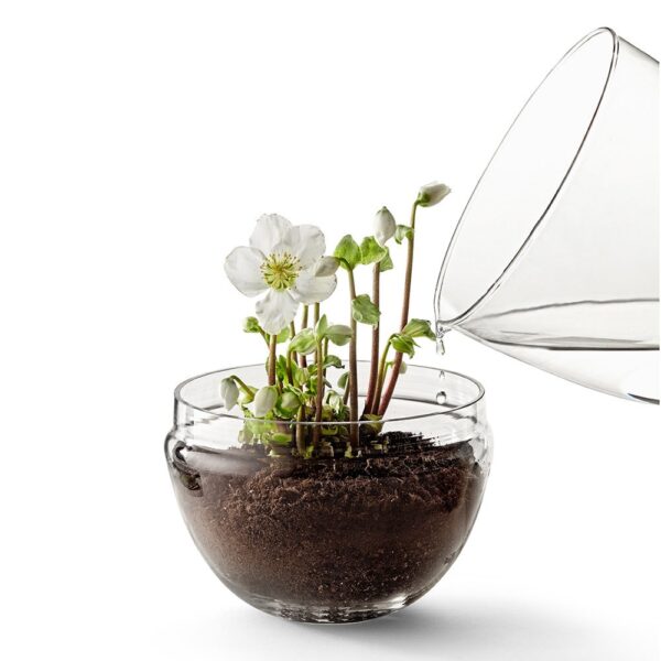 grow-greenhouse-clear-extra-large-02-amara