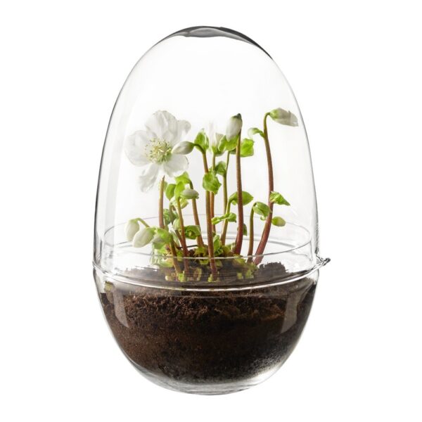 grow-greenhouse-clear-extra-large-04-amara