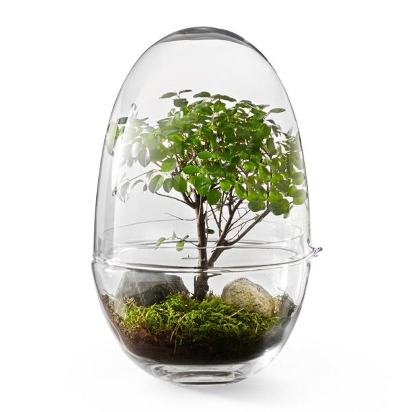 grow-greenhouse-clear-extra-large-06-amara