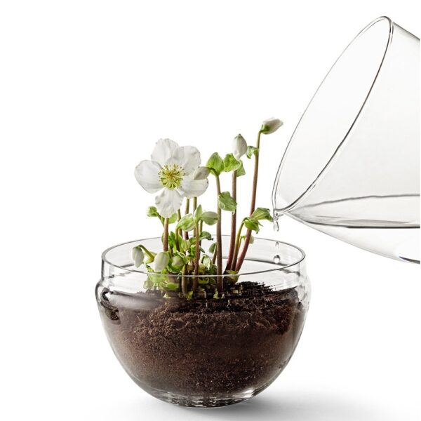 grow-greenhouse-clear-large-04-amara
