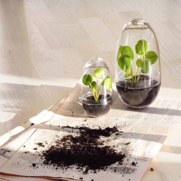 grow-greenhouse-clear-large-05-amara