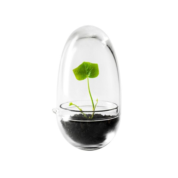 grow-greenhouse-clear-small-02-amara