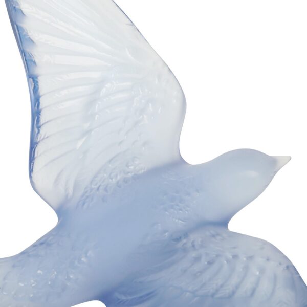 hirondelles-swallow-crystal-sculpture-sapphire-blue-06-amara