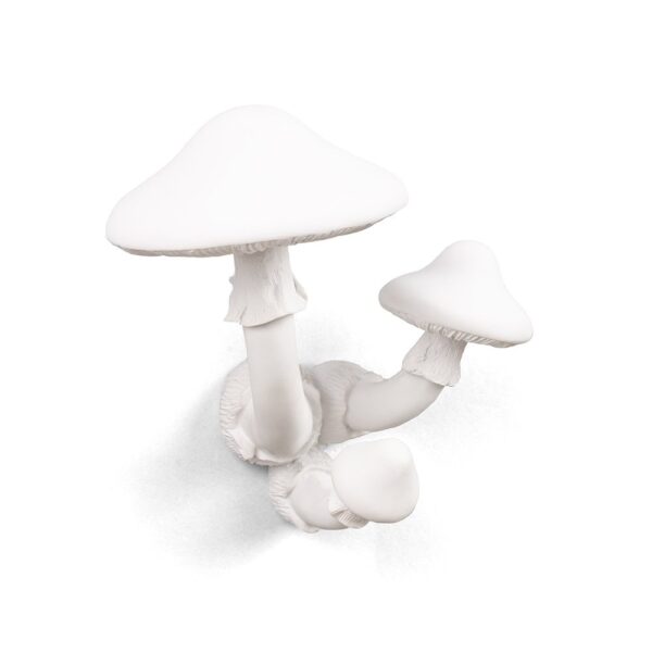 mushroom-wall-hook-02-amara