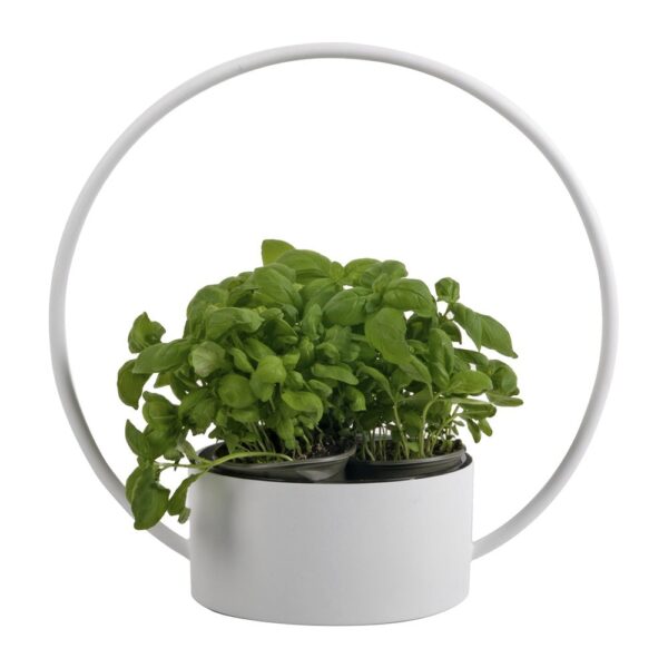 o-collection-planter-white-medium-02-amara
