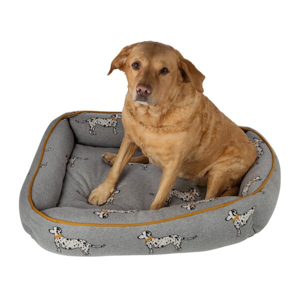 pet-bed-medium-spot-dog-02-amara