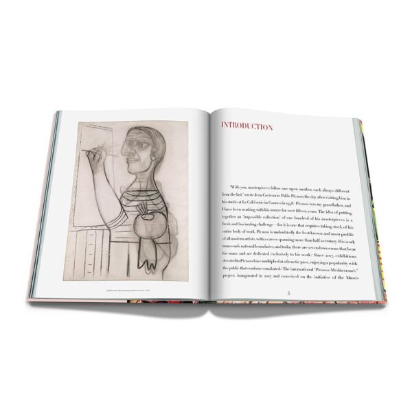 picasso-the-impossible-collection-book-06-amara
