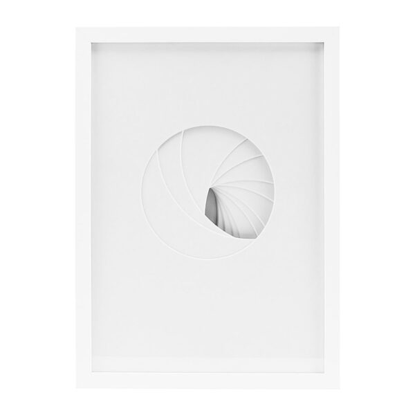 relief-cut-out-illustration-in-frame-circle-04-amara