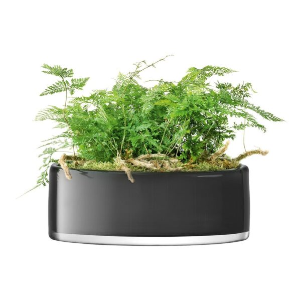 stems-bowl-planter-slate-03-amara