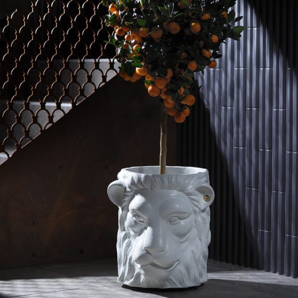 terracotta-lion-plant-pot-large-white-02-amara