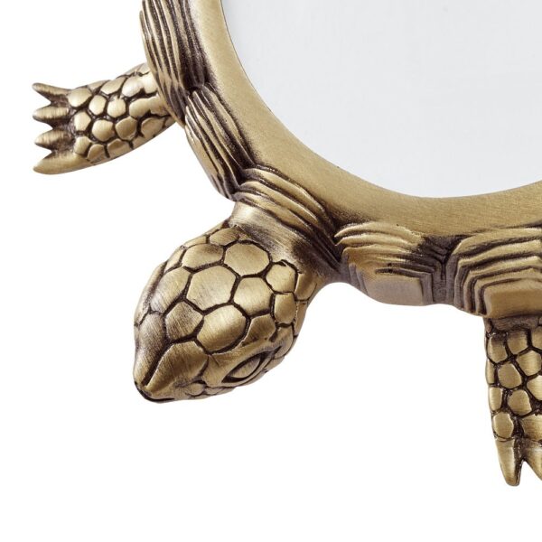 turtle-magnifying-glass-04-amara
