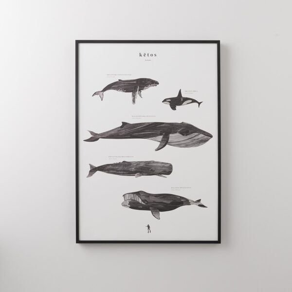 whale-scale-print