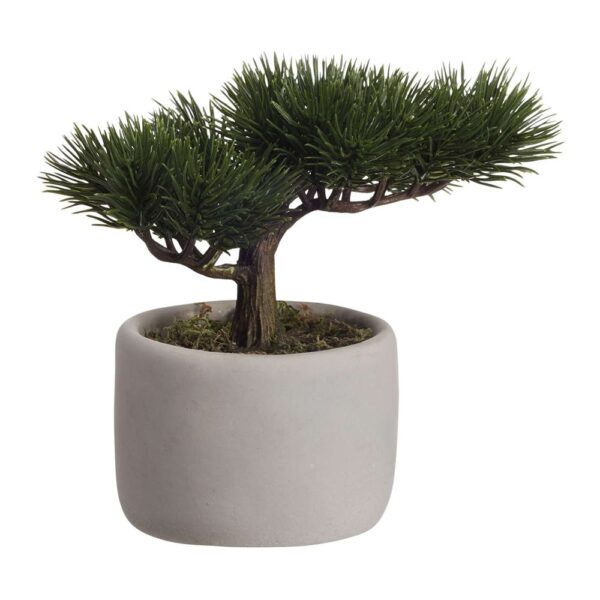 deko-bonsai-mini-pine-plant