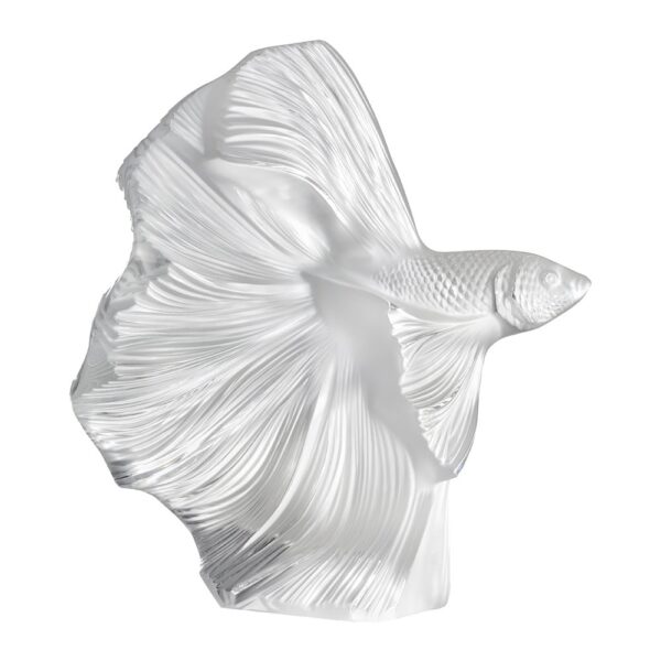fighting-fish-sculpture-clear