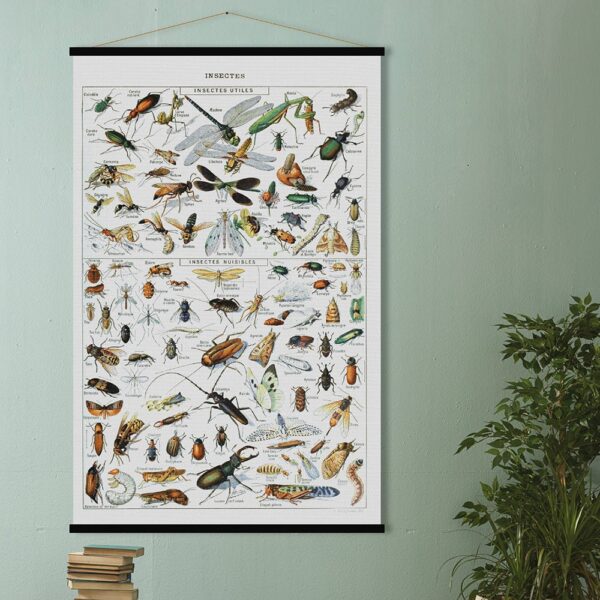 insects-print