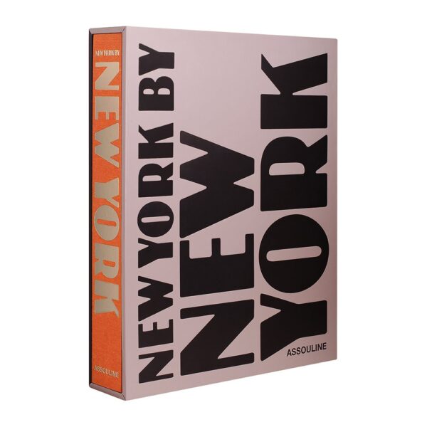 new-york-by-new-york-book