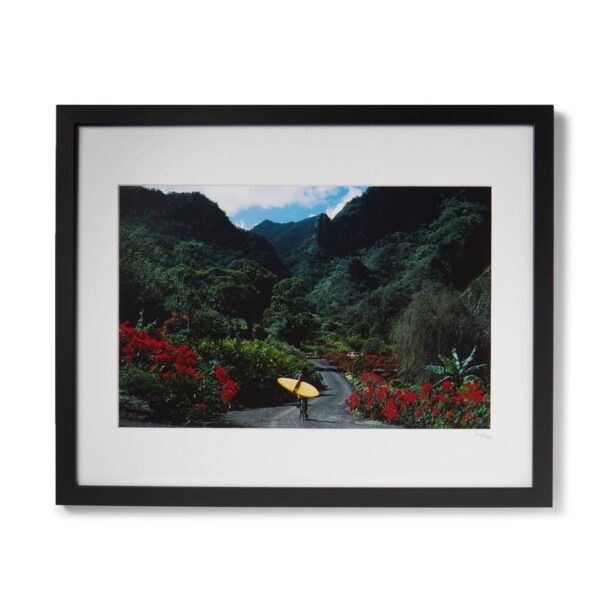 framed-1976-hawaii-surfer-print-16-8008779904995936