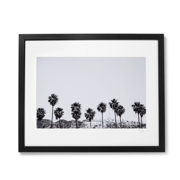 framed-2015-stephen-albanese-hollywood-palm-trees-print-16-x-20-5439682798373504