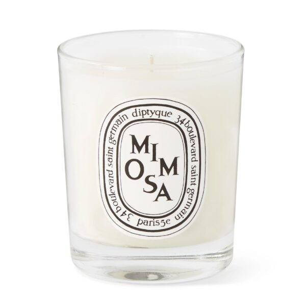 mimosa-scented-candle-70g-2499567818659161