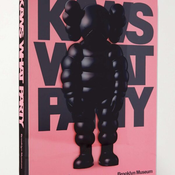 Phaidon KAWS WHAT PARTY Hardcover Book 0400615563318