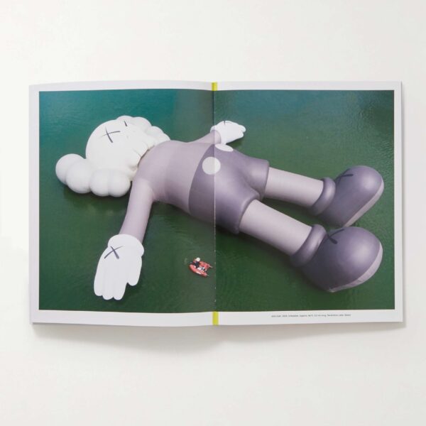 Phaidon KAWS WHAT PARTY Hardcover Book 0400615563318